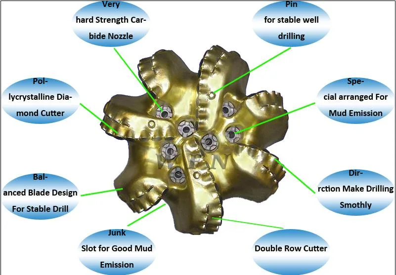 Oilfield and Rock Drilling Bit PDC Bit with IADC Code