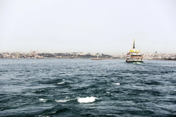 International Sea Shipping nach Adabiya (EGADA) , Alexandria (EGALE) in Ägypten von Guangzhou, Shenzhen, Shanghai, Haikou in China