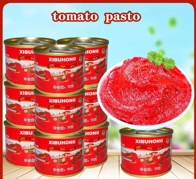 Pâte de tomates en conserve 100 % ketchup et sauce 2200g de tomates en conserve Coller