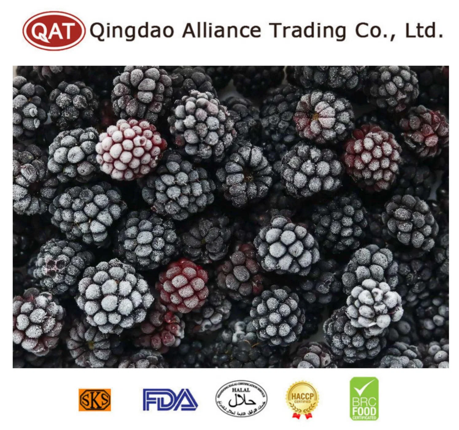 Natural Dulce Silvestre IQF Frutas congeladas BlackBerry para exportar con FDA