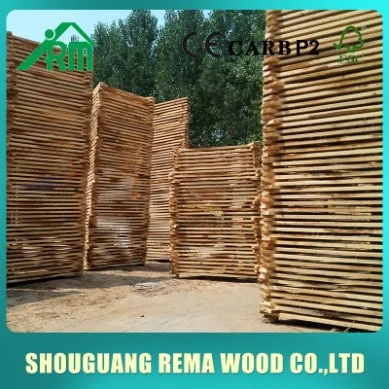 Chinese Supplier Grade a Randam Width Poplar Slats Poplar Saw Timber for Pencil