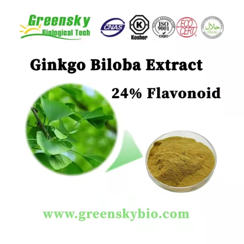 Ginkgo Biloba Extract 24% Flavonoid Ginkgo Biloga L. Yellow Brown Fine Powder High quality/High cost performance  Plant Extract Herbal Extract Pure Natural