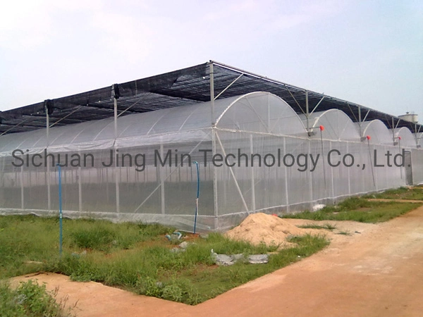 PE Film Greenhouse for Agriculture Used