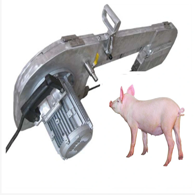Casa de la matanza de cerdo cerdo cerdo Carne de Cerdo de equipos de la máquina de proceso