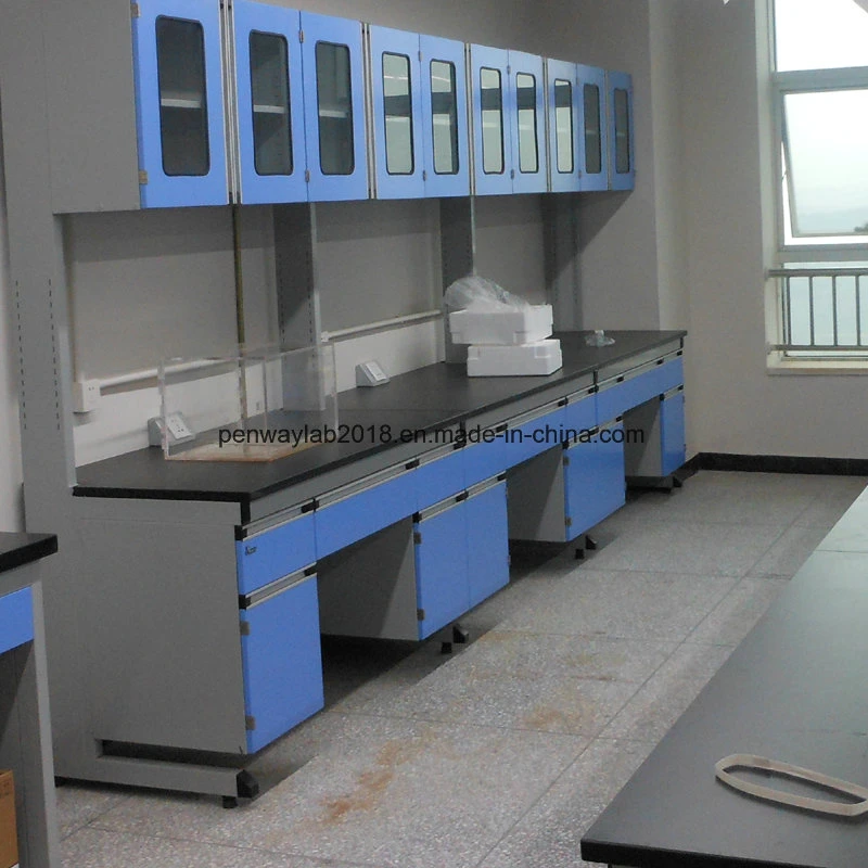 Mobiliario de laboratorio de la escuela de suministros de mesa