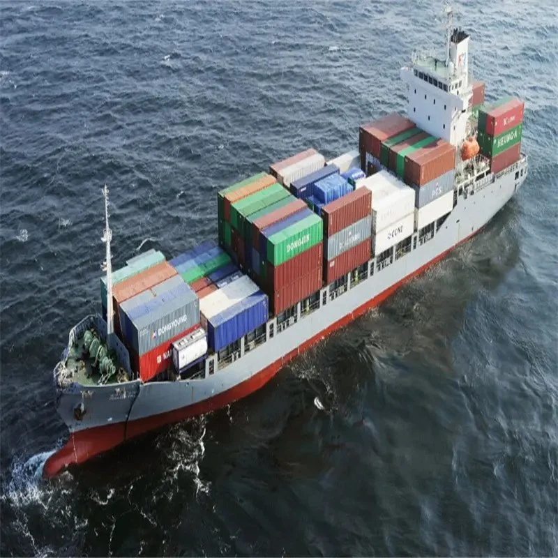 FCL/LCL Sea Shipping Agent From China to India Pakistan