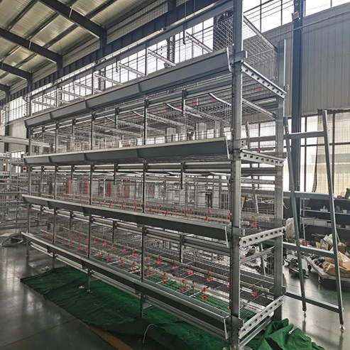 Hochwertige Geflügelzüchtgeräte Layer Chicken Cage mit Automatik System