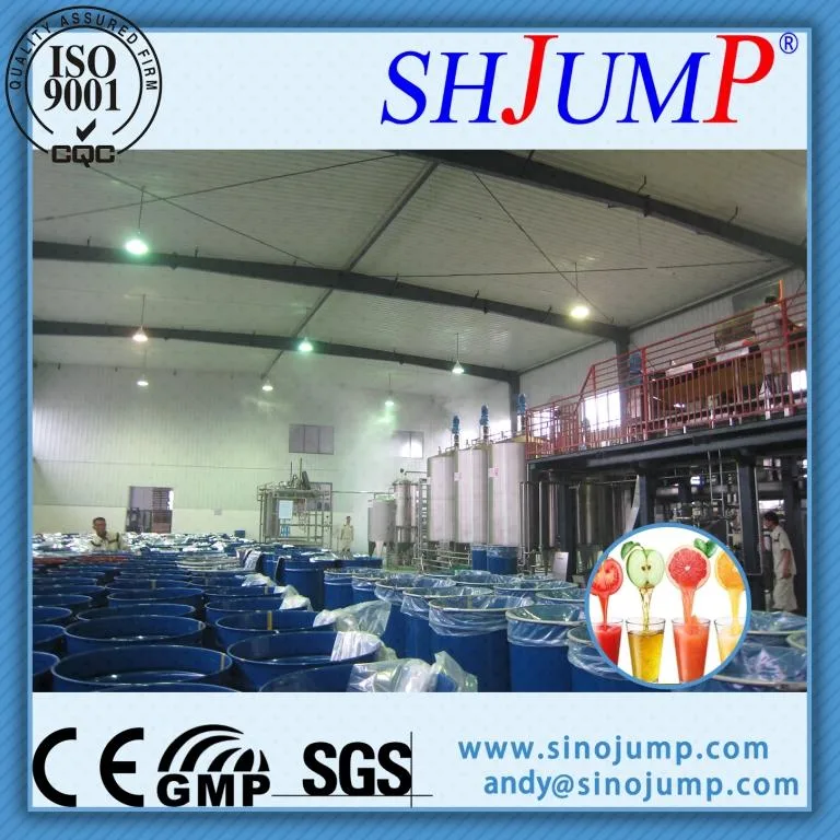 Complete Set Automatic Fruit Juice Processing Line Machine/Fruit Jam Making Machine/Fruit Juice Production Machine/Fruit Processing Machine/Fruit Machinery