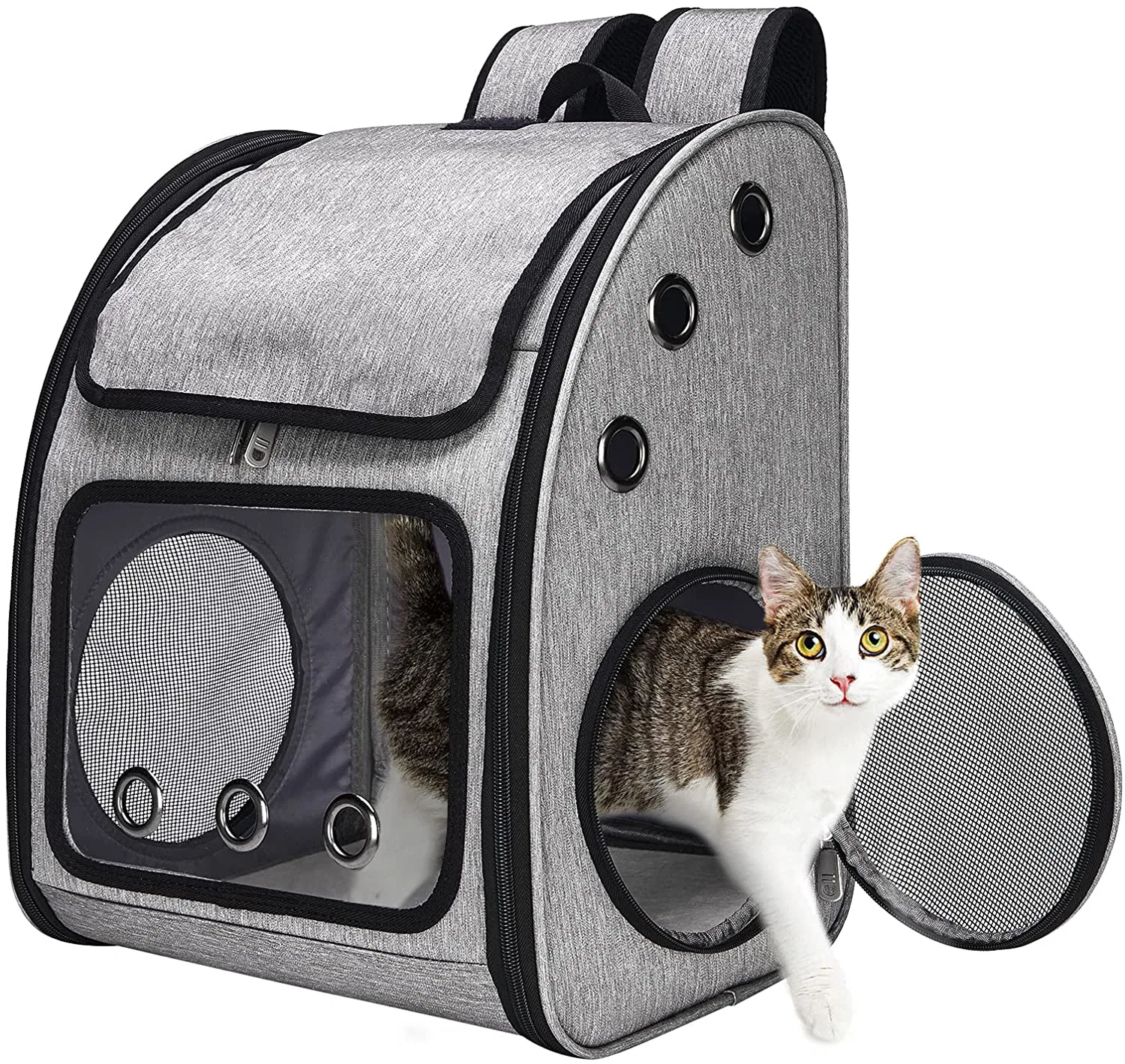 Haut de haute qualité de l'ouverture Pet Products maille respirante Pet pliable transporte un sac à dos Chat Chien Sac de transporteur de petits animaux