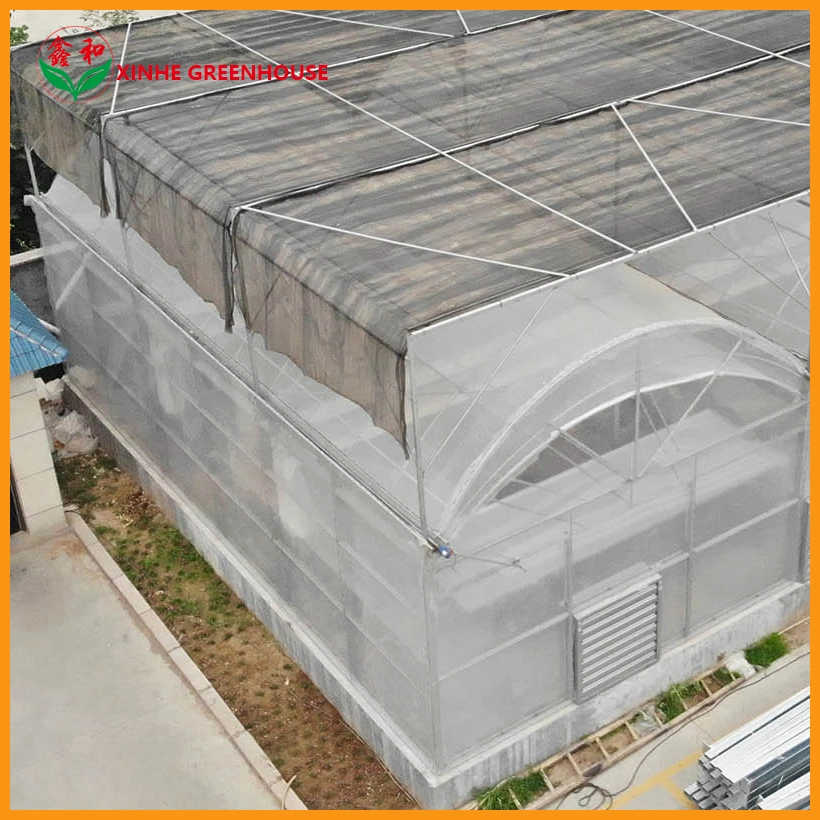 Multi Span Plastic Film Greenhouse with Hydroponic Growing System for Sale