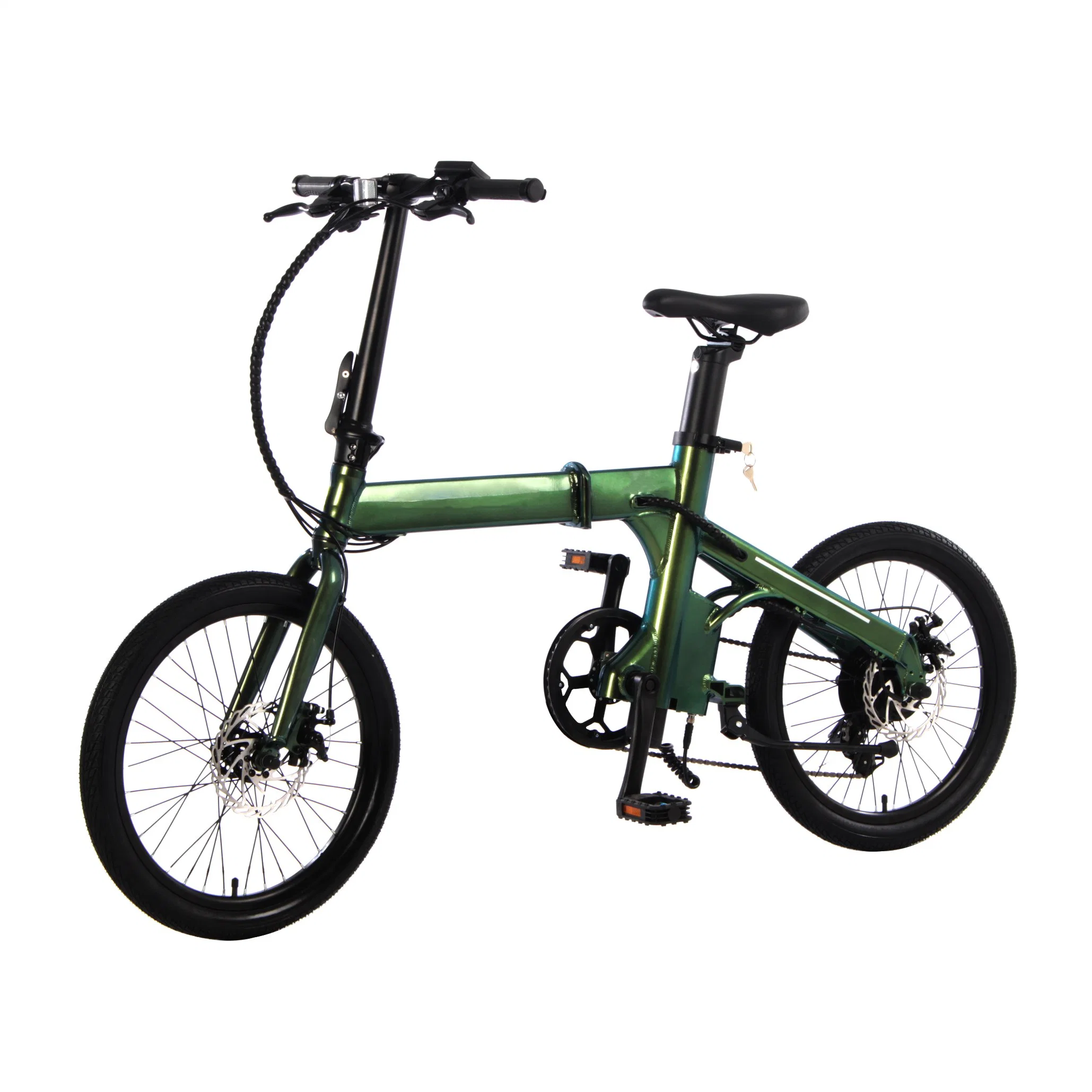 36V 250W 10ah High Power Fold Alloy Mountain Motor E Battery City Motor Road Mini Bicycle Electric Bike Folding Bikes