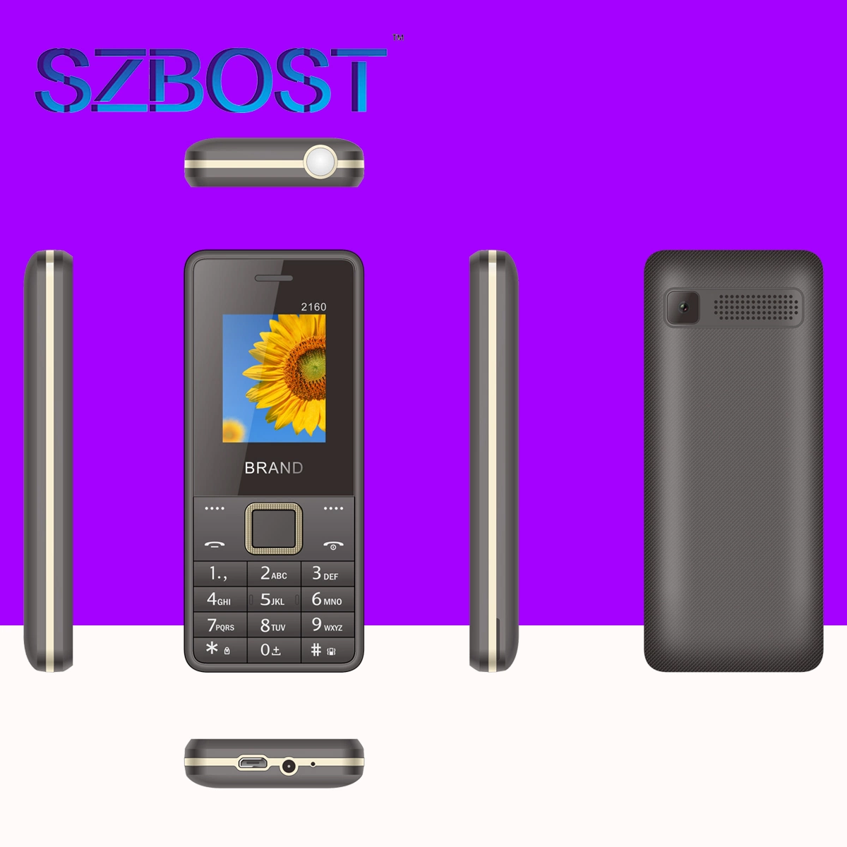 Großhandel/Lieferant 1,77inch 2,8 Zoll große Taste Sos Handys Niedrig Preis Senioren Handy Senior Handy Feature Phone 2160