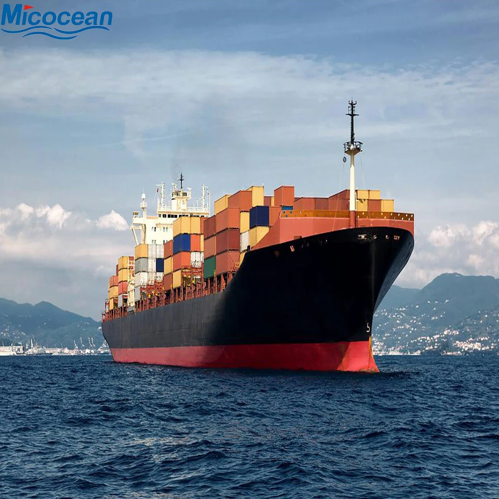 International Logistics Sea Freight Forwarder From Qingdao/Shanghai China to Asia