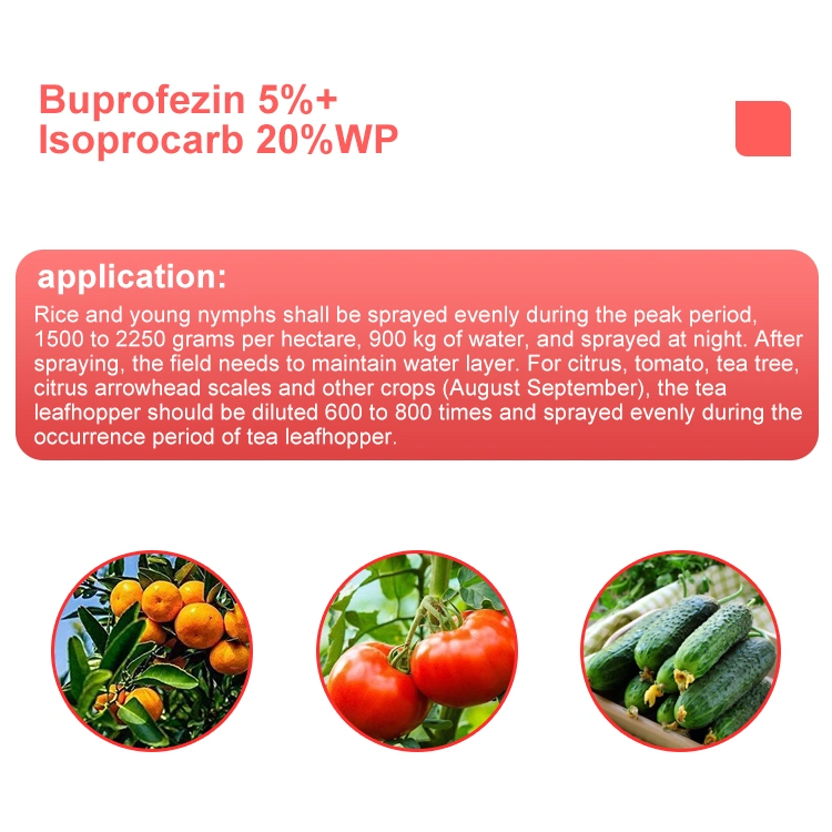 Landwirtschaftliche Chemikalien Pestizide Insektizide Buprofezin 5%+ Isoprocarb 20% Wp