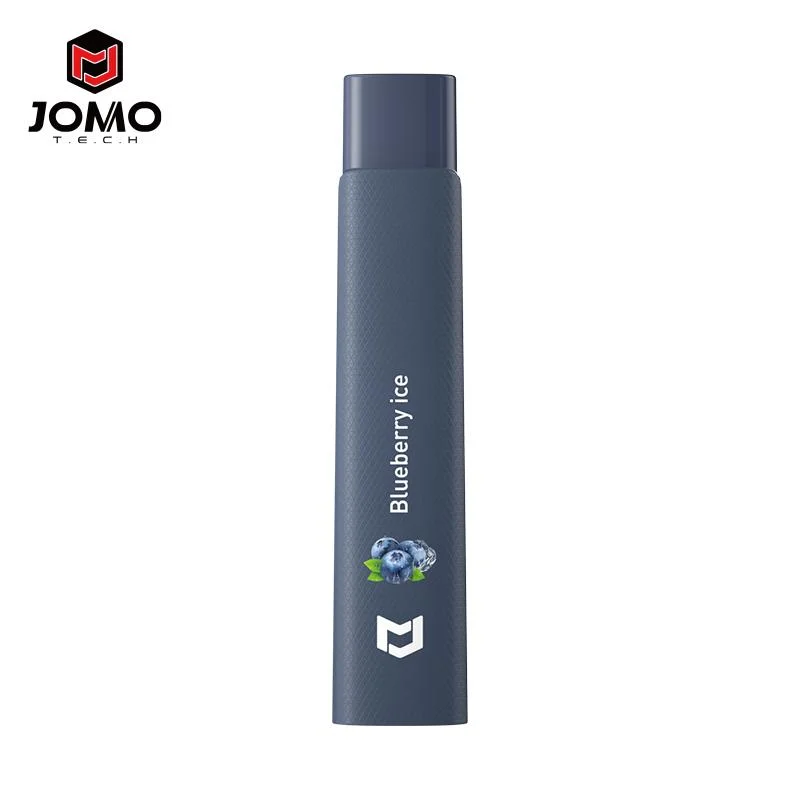 Europa 600 Puffs 2ml E Flüssig-Mesh-Spule Großhandel Einweg Vape Pen