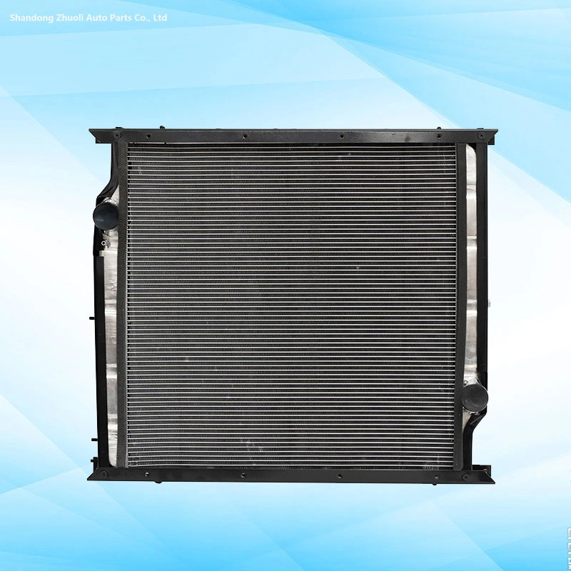 Radiador de la barra de la placa radiador Intercooler núcleo radiador diesel núcleo Wg9725530011 Wg9725530120