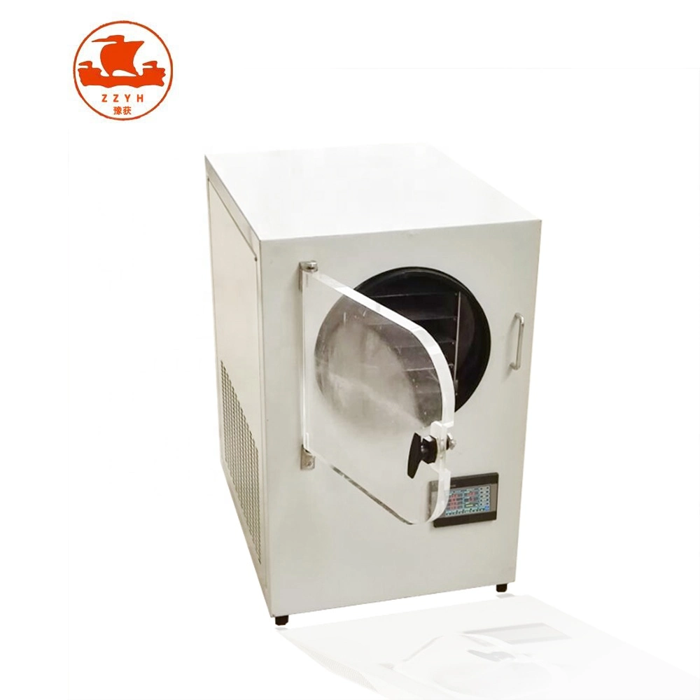 Food Vegetable Fruit Home Homemade Household Lab Vacuum Lyophilization Machine Equipment