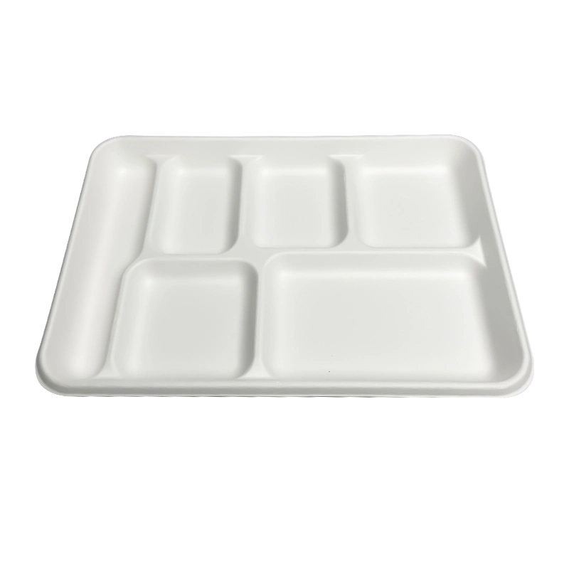 Sugarcane Pulp Disposable Degradable Serving Storage Kids Food Trays