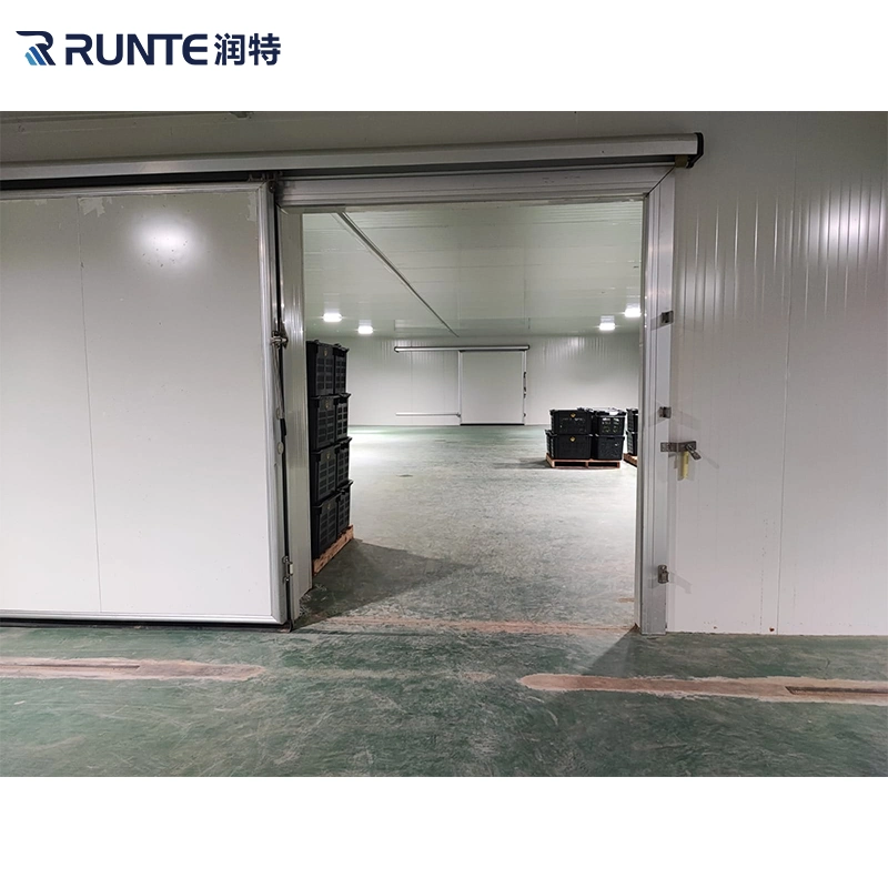 Manufacturer Factory for Sale Storage with Light Meat Vegetable Fish Fruit Freezer Freezing Used Cold Room