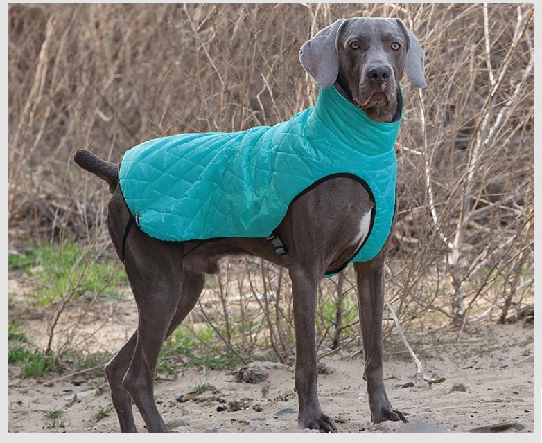 Vêtements pour animaux de compagnie vêtements chauds pour chiens vêtements de manteau Accessoires pour animaux de compagnie