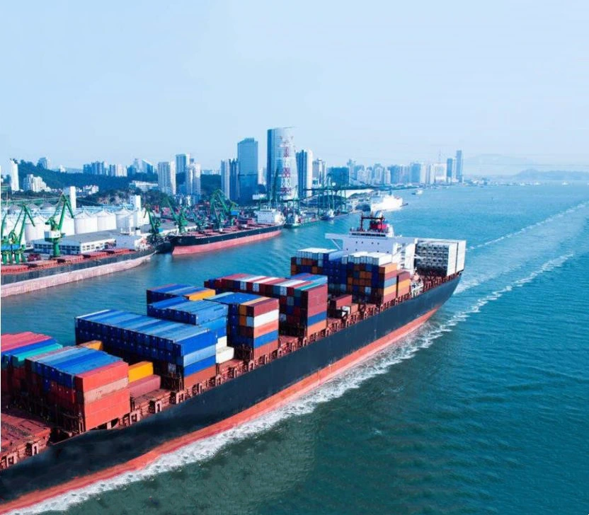 China Cheap Sea Freight International Shipping Forwarding Agent in Qingdao to Umiddle East Market