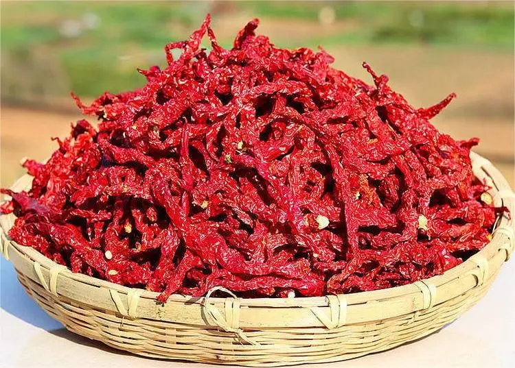 China New Crop Super Hot Red Dry Natural Chili
