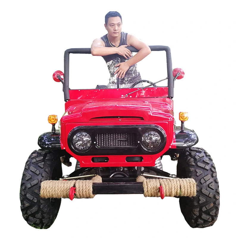 4X4 250cc Snow Plow 400 300cc Elettrici Quad Bike Swingarms Cheap with Mini Frame ATV