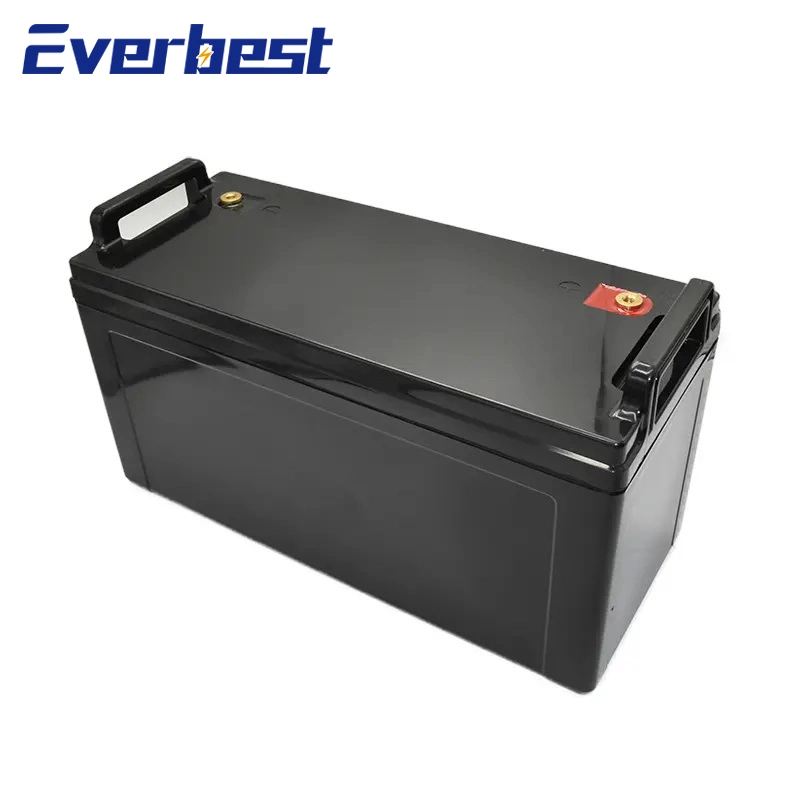 12V 24V 36V 48V Lithium Polymer Li Ion Battery 50ah 60ah 100ah Battery Pack LiFePO 4 Lithium Ion Li-Polymer Battery for Solar Storage System /Electri Car