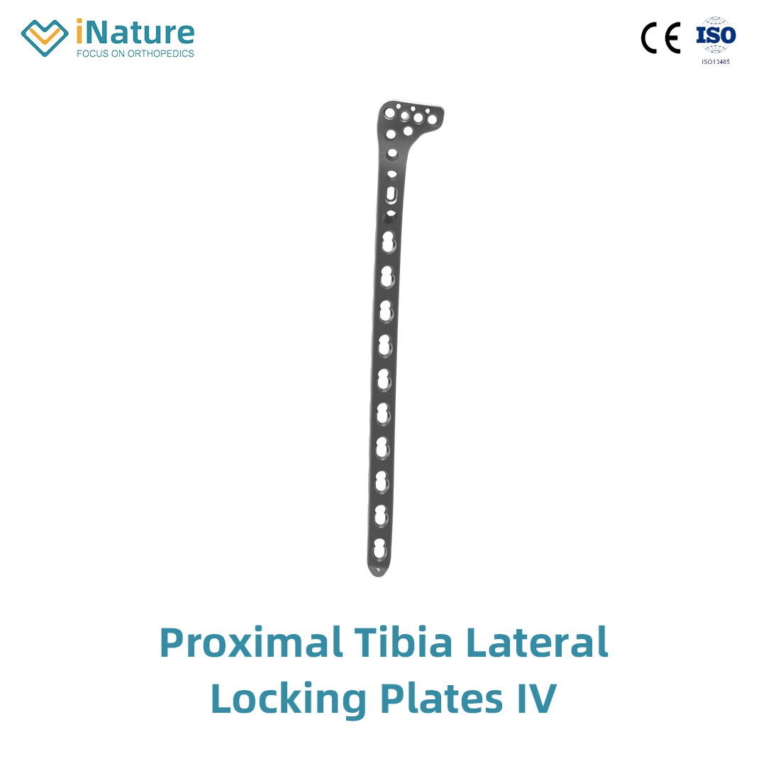 Trauma Orthopädische Implantate Proximale Tibia Locking Plate Knochen Platte