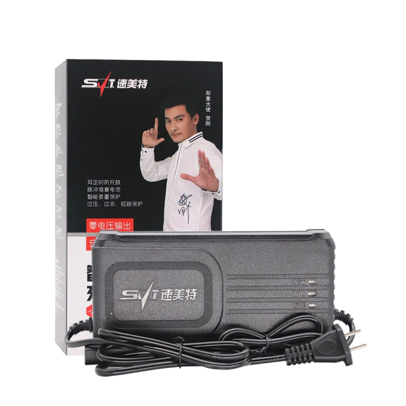 Fully Automatic Auto Battery Charger Intelligent Pulse Repair Battery Charger 48V50ah