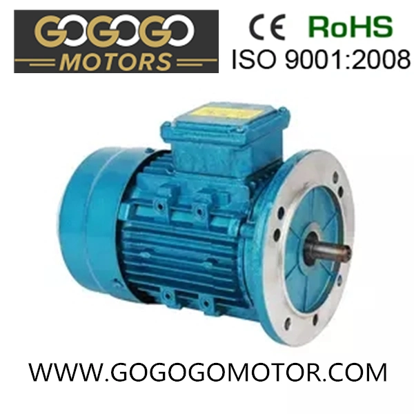 Yd-100L1-6 Variable Speed Three-Phase Asynchronous Motor