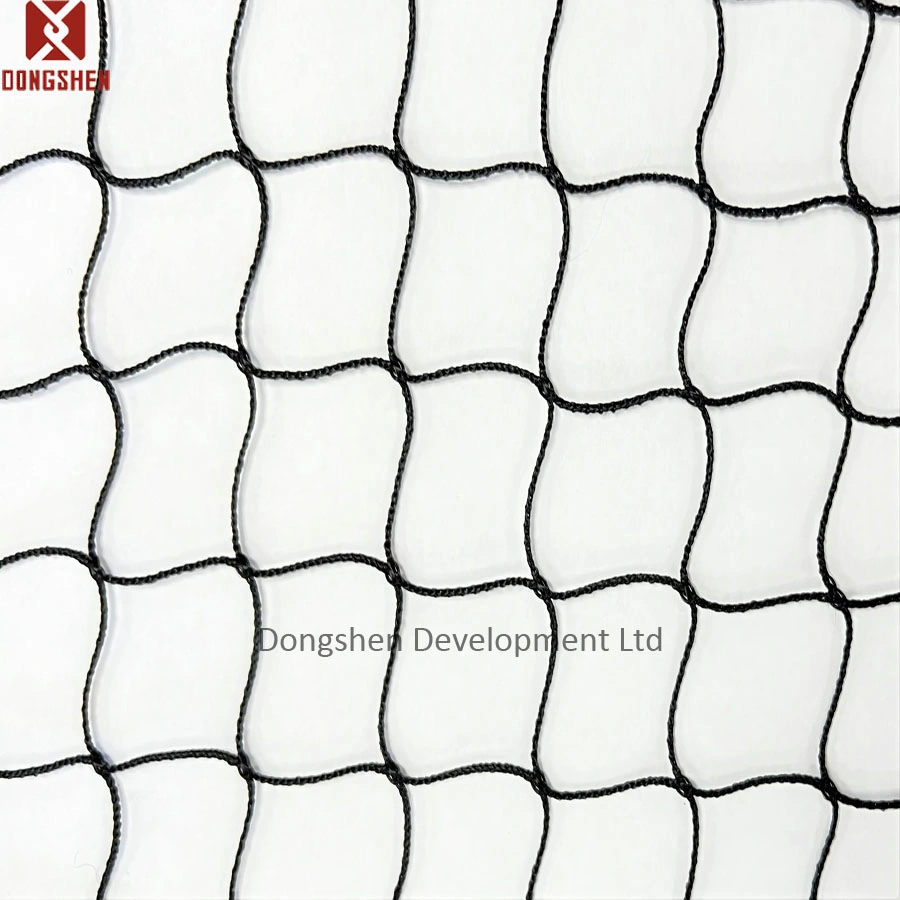 Anti Bird Netting cultures de plantes de jardin baies protection de jardin HDPE Diamond Filet d'oiseau avec UV