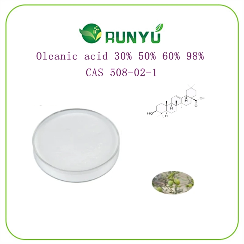 ISO CAS 508-02-1 30% 50% 60% 98% Pure Natural Glossy Privet Fruit/Olive Leaf Extract Powder Oleanic Acid/Oleanolic Acid /Caryophyllia Olive Leaf Extract