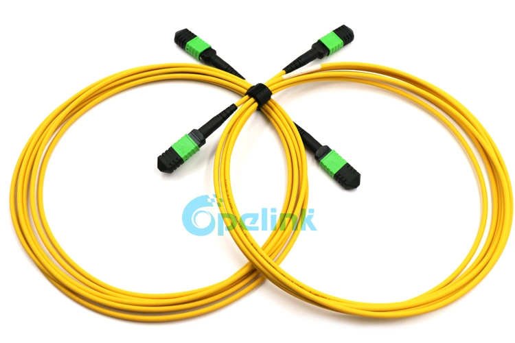 High Performance High-Density MPO-MPO Trunk Fiber Jumper with Factory Price