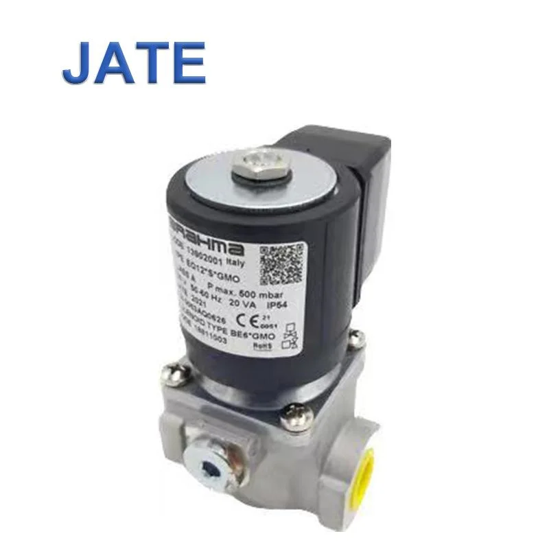 Brahma or Type Eg12 S GMO 13902001 Gas Solenoid Valve GMO Safety Solenoid Control Gas The Electromagnetic Valves for Burner Parts 220V AC