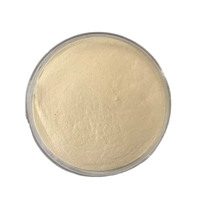 Halal Certified Starch Substitute Xanthan Gum Powder