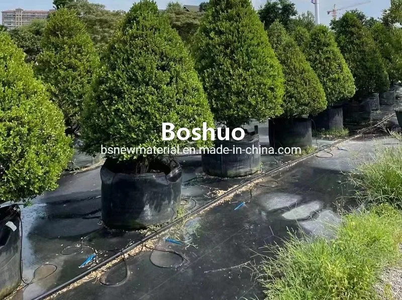 La horticultura Jardín Heavy Duty Jumbo planta redonda negra raíz de la plantación de marihuana para la jardinería Bonsai espécimen Datepalm setos de arbustos árboles Mable fabricante chino