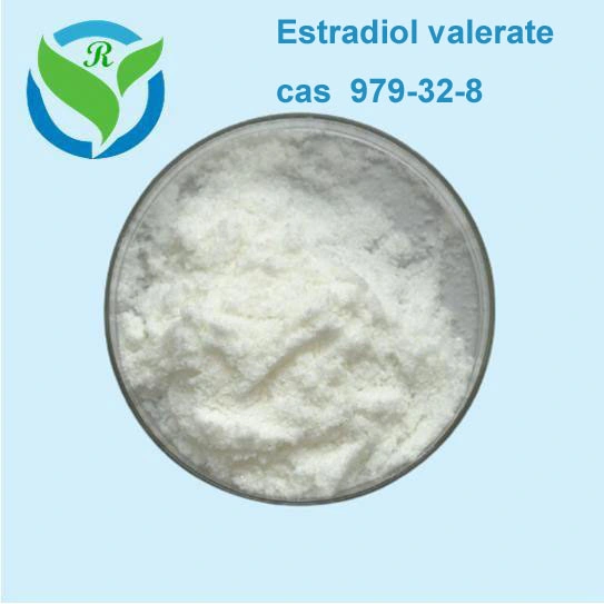 Top Quality 99% Estradiol Valerate Powder Delestrogen CAS 979-32-8 Safe Shipping