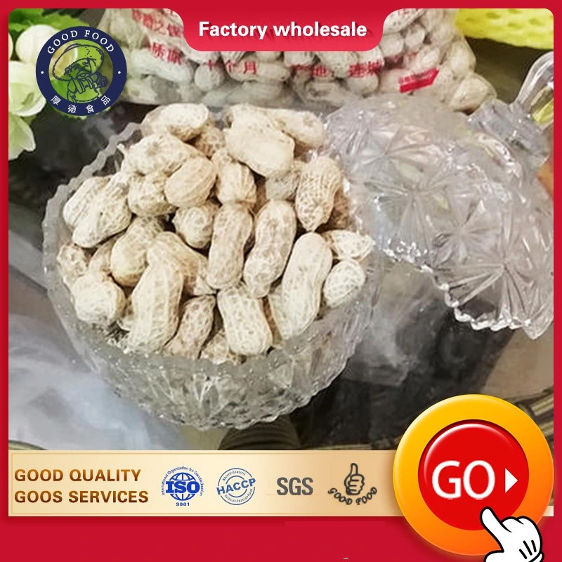 Chinese Factory 2020 Crop Blanched Kernel Peanut From China