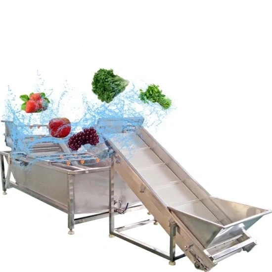 Fruit & Vegetables Bubble Cleaning and Washing Machine Conveyor Belt Washer