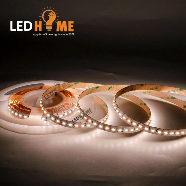 24V Dimmerble Flexible LED Strip with 240 LED Light and Lamp