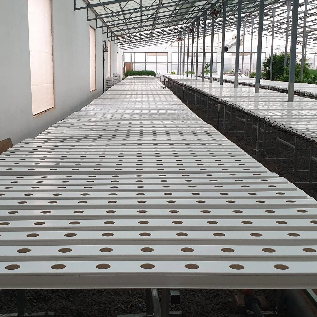 Agriculture verticale NFT Hydroponics système de plantation de laitue en PVC