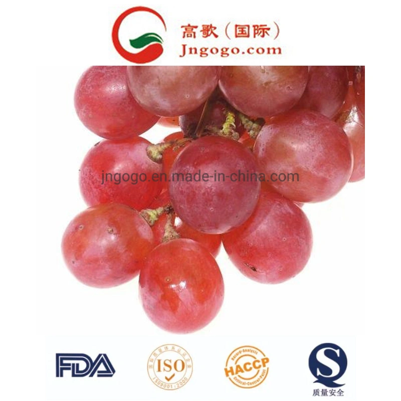 Супер качества свежий виноградный свежие малиновый фрукты для экспорта