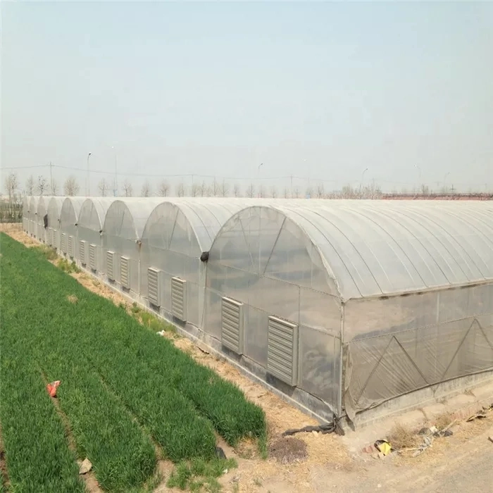 Factory Hot Galvanized Steel Frame Customized Agricultural Commercial Plastic Greenhouses Garden Greenhouse