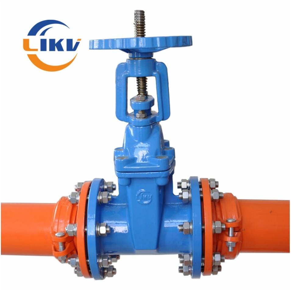 Ductile Iron Flanged Rising Stem Outside Screw Yoke Water Gate Valve Manual Operated Pn16 DN100