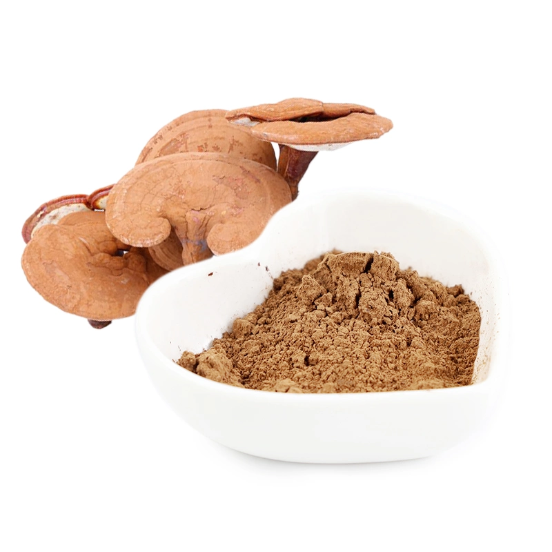 Ganoderma Lucidum Lingzhi orgânicos de pó de cogumelo Reishi suplemento de saúde