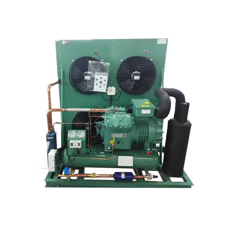 Cold Room Refrigeration Unit Condensing Unit for Sale