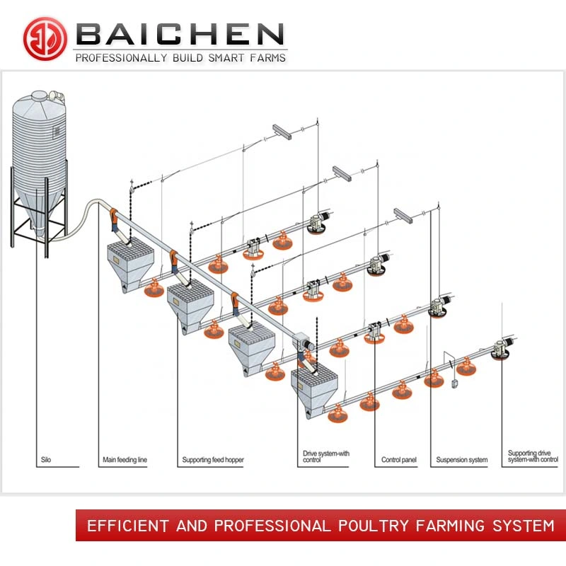 Sistema de alimentación de pollos broiler Elevadores para aves de corral de la casa