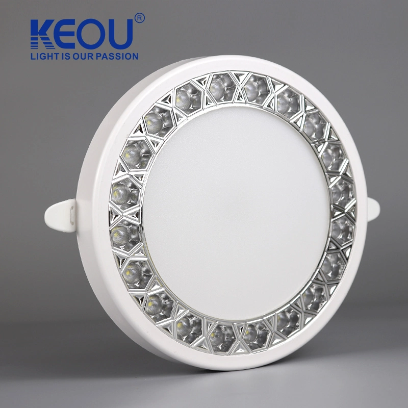 Indoor Electroplating Silverled LED Lamp Spot Downlight 24W Panel Light Downlight LED Interior Lighting