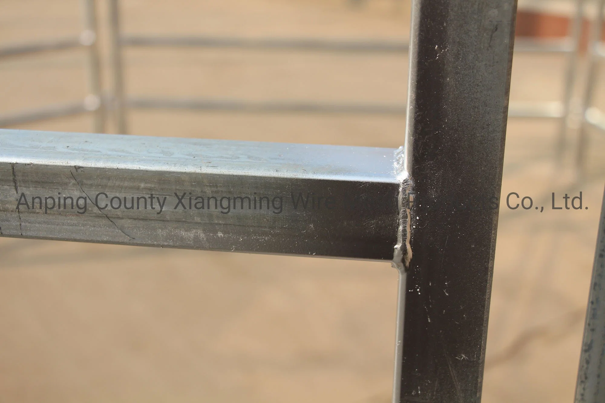 China High quality/High cost performance  Used Cattle Yard Corral Panels for Livestock (XMS4)